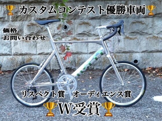 カスタムコンテスト優勝車両　tern SURGE