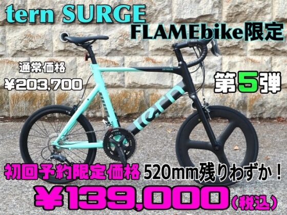 【第5弾】 tern SURGE FLAMEbike限定 BLACK/turquoise