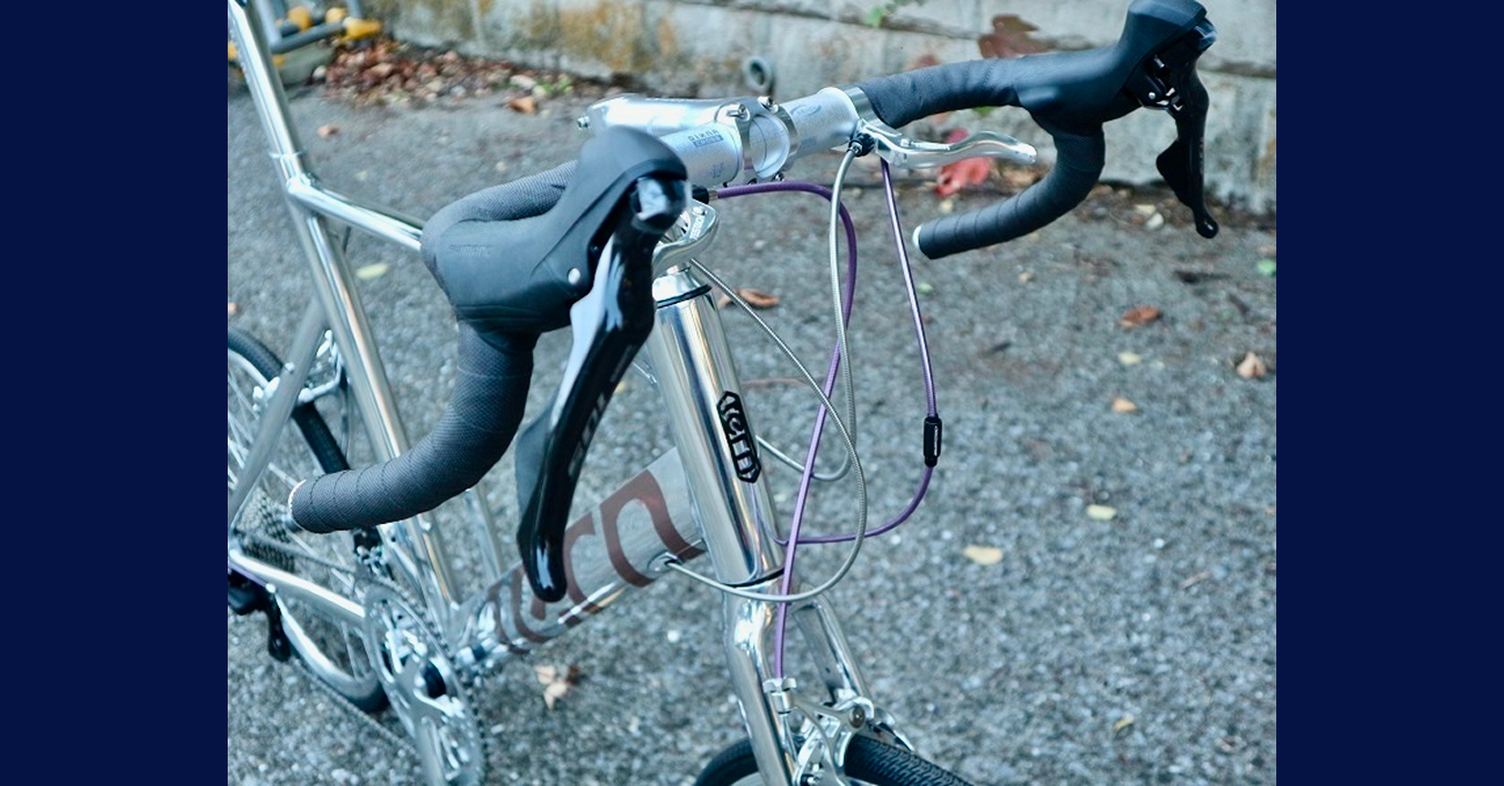 美しく輝く tern 車両